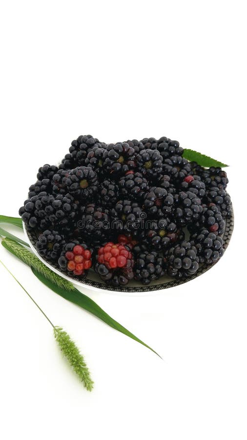 Blackberry nel piatto ed in un orecchio