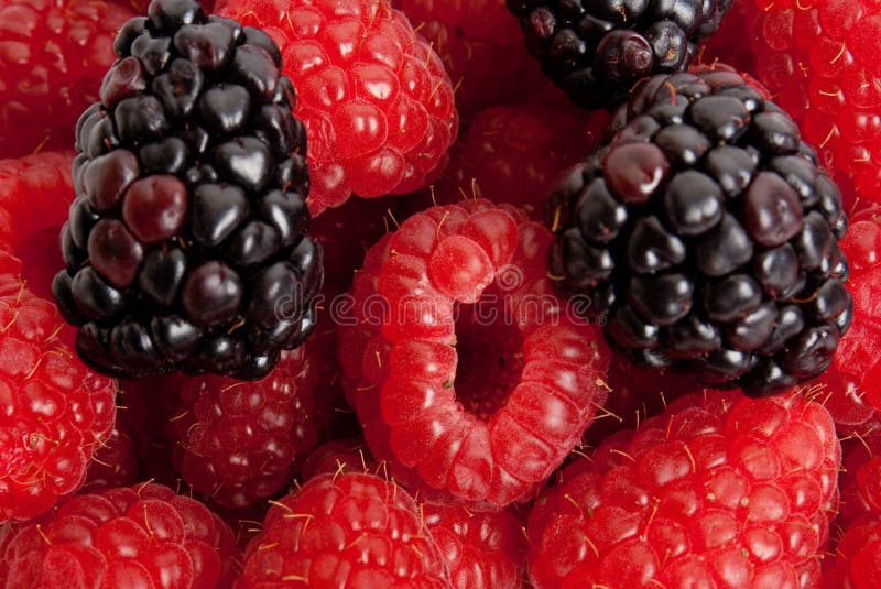 Blackberry and raspberry