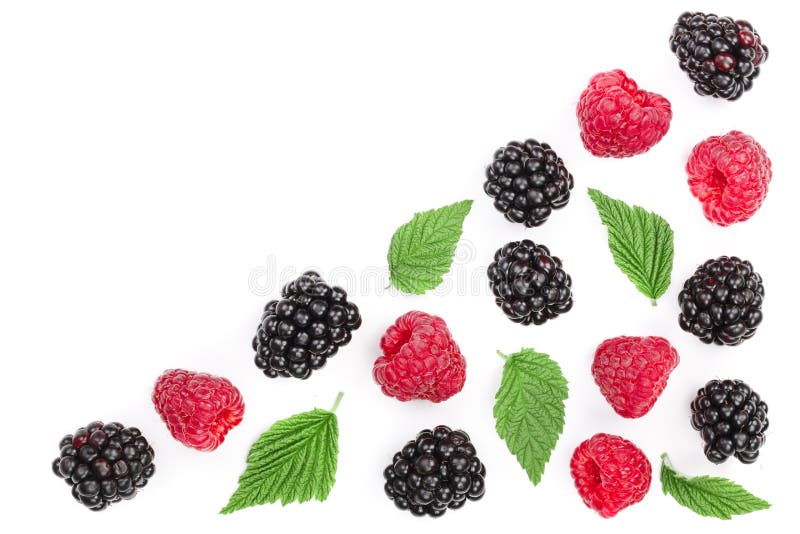Blackberry and raspberry with leaves isolated on white background with copy space for your text. Top view. Flat lay pattern.