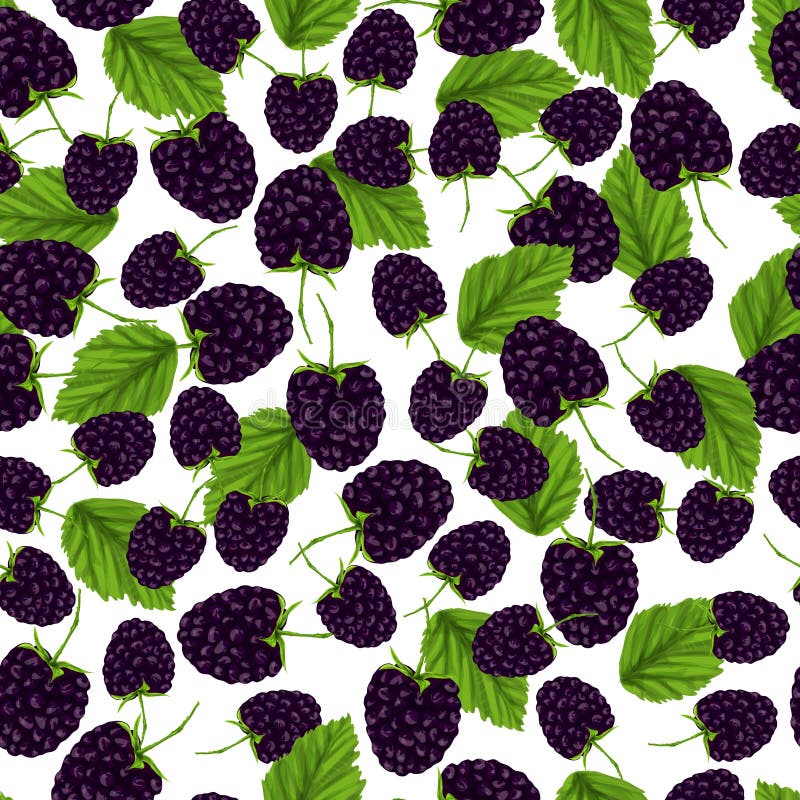 Blackberry Seamless Pattern. Vector Doodle Berry Design for Wallpaper