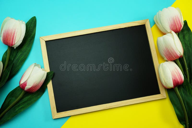 Blackboard i wiązka tulipanowy kwiat na tła mieszkaniu nieatutowym błękitnym i żółtym zdjęcia royalty free Blackboard i wiązka tulipanowy kwiat na tła mieszkaniu nieatutowym błękitnym i żółtym zdjęcia royalty free