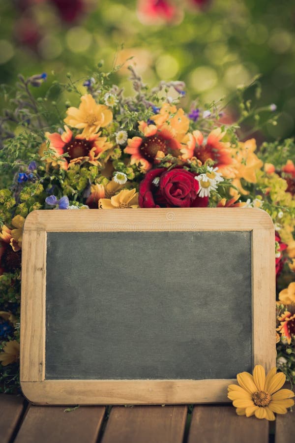 Blackboard puste miejsce obraz stock Blackboard puste miejsce obraz stock