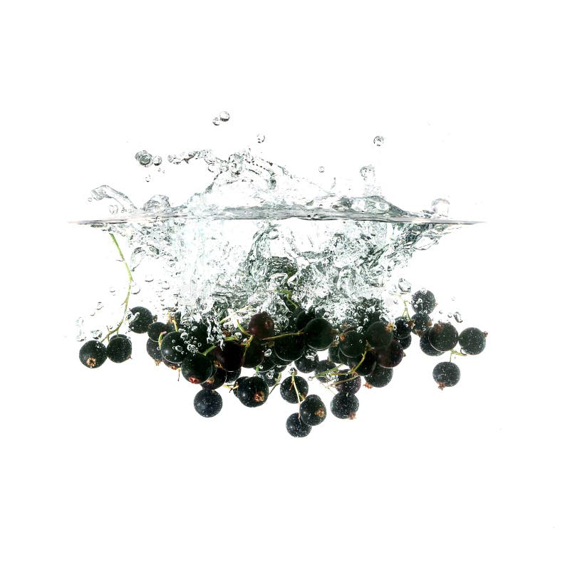 Blackcurrants splash on water, isolated on white background royalty free stock photo Blackcurrants splash on water, isolated on white background royalty free stock photo