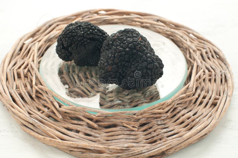 Blacks Winter Truffles from Umbria Called Scorzoni Stock Photo Image