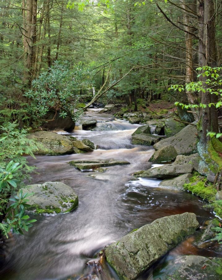 Blackwater Fluss-Westen Virginia lizenzfreies stockbild Blackwater Fluss-Westen Virginia lizenzfreies stockbild
