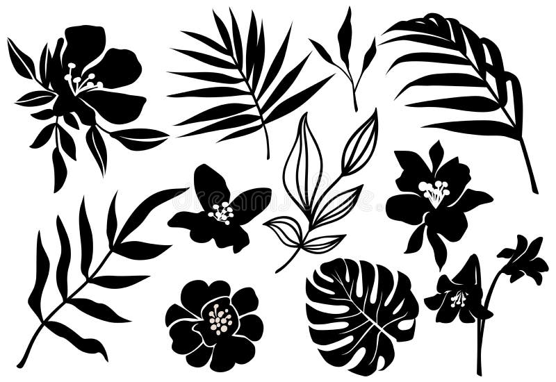 Blad av vektortropism och blomsilhuett. djungelplantor, monstera bladpalm, exotisk floral. abstrakt uppsättning vektor illustrationer