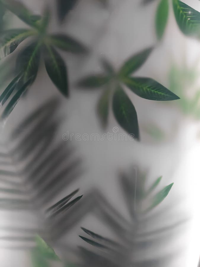 Blad från stora tropiska växter bakom frostigt glas. djungelns bakgrund och tropikerna arkivfoto
