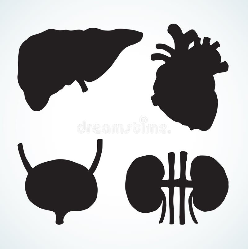 bladder rysuje tła trawy kwiecistego wektora ilustracji bladder rysuje tła trawy kwiecistego wektora ilustracji