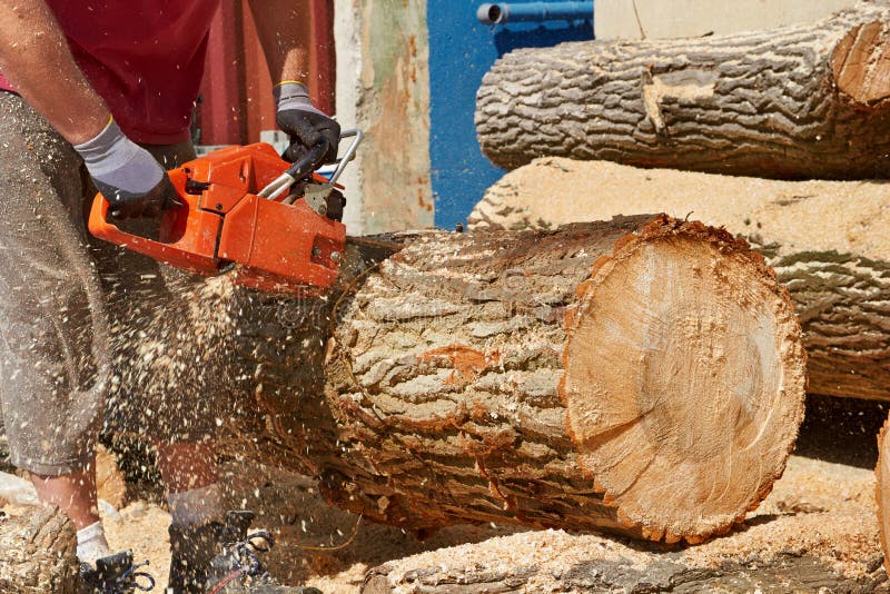 The Chainsaw Blade Cutting The Log Of Wood Stock Photo Image of machine, equipment 34385462