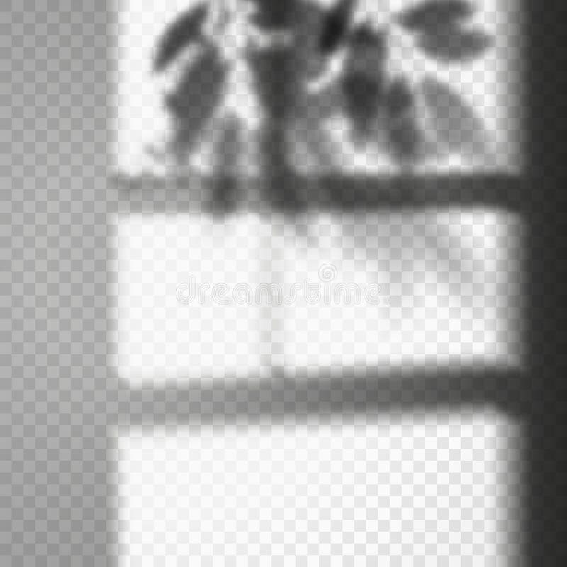 Blade- und Türschatten auf transparente Hintergrund. stockbilder