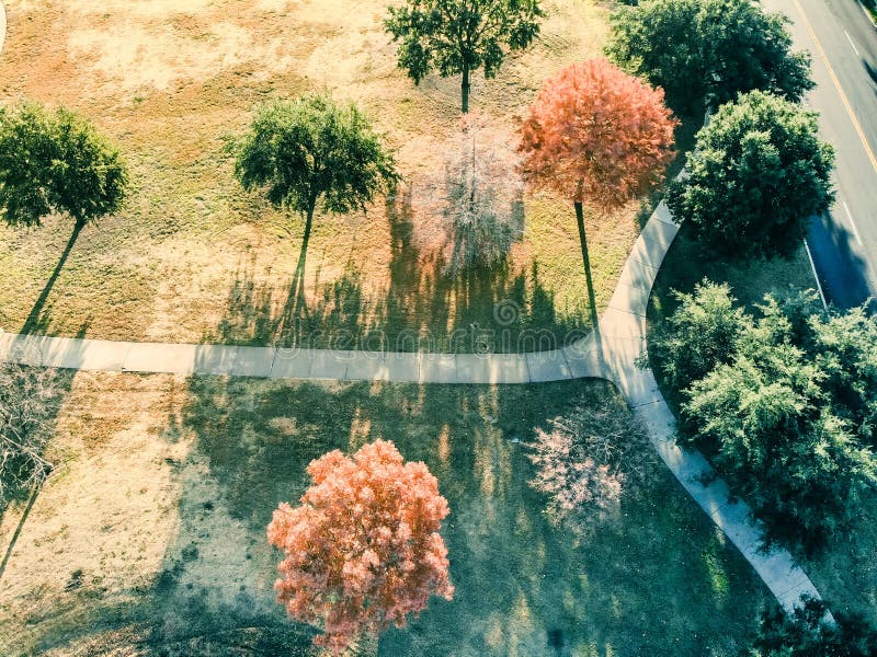 Bladeren van de satellietbeeld de kleurrijke herfst langs parkgang dichtbij Dallas, Texas royalty-vrije stock foto's Bladeren van de satellietbeeld de kleurrijke herfst langs parkgang dichtbij Dallas, Texas royalty-vrije stock foto's