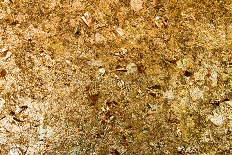 Bladguld royaltyfria bilder Bladguld royaltyfria bilder
