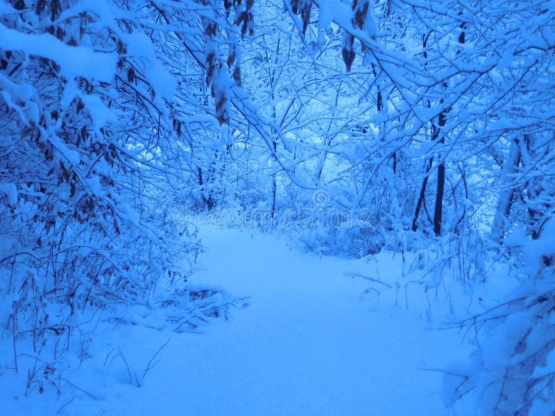 BLANC DE NEIGE photographie stock BLANC DE NEIGE photographie stock