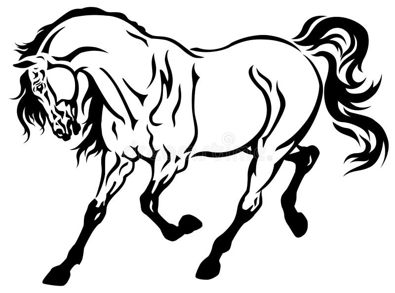 Blanco corriente del negro del caballo libre illustration Blanco corriente del negro del caballo libre illustration