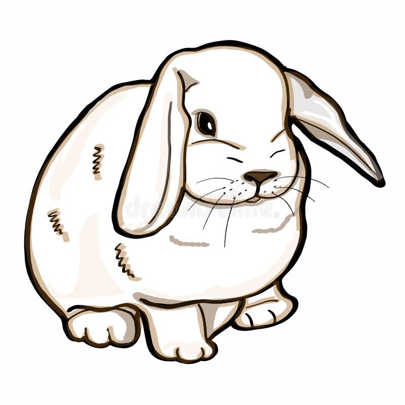 Dibujo realista del conejo ilustración del vector. Ilustración de conejito  - 100642968
