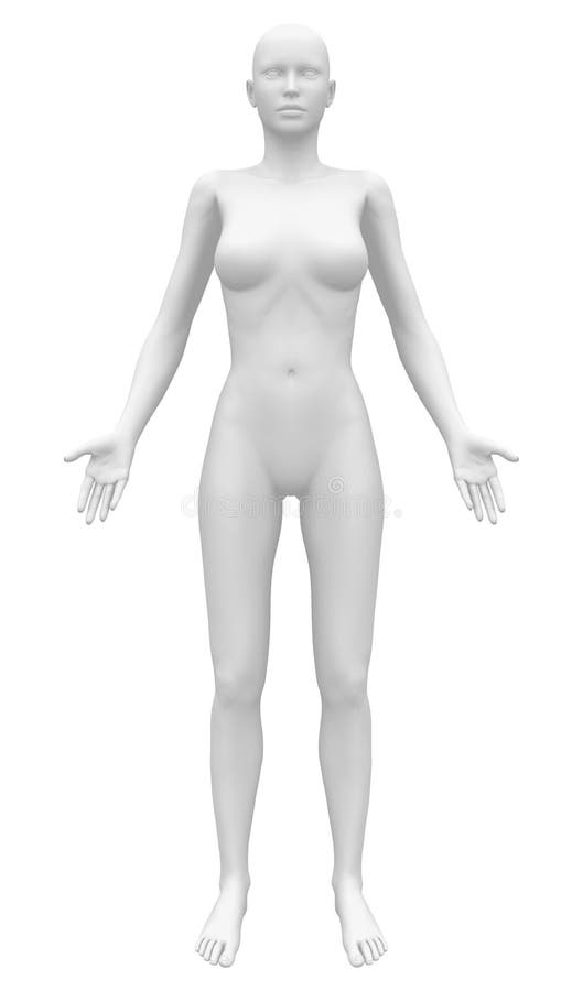 Blank Female Body Template from thumbs.dreamstime.com