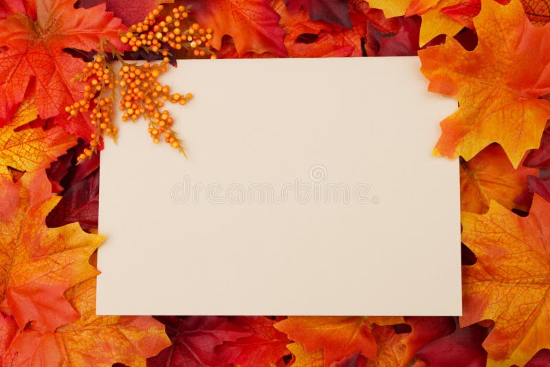 Blank card with fall leaves for your