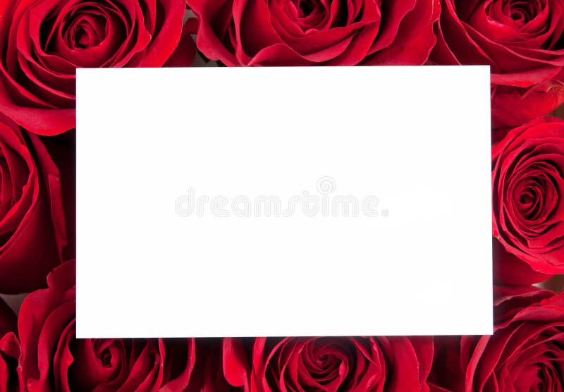 Blank card with red roses