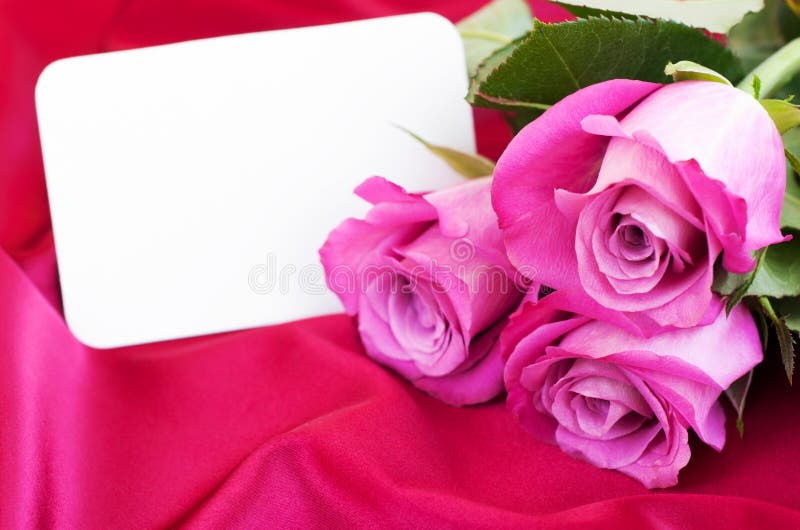 Blank card for your message and pink roses