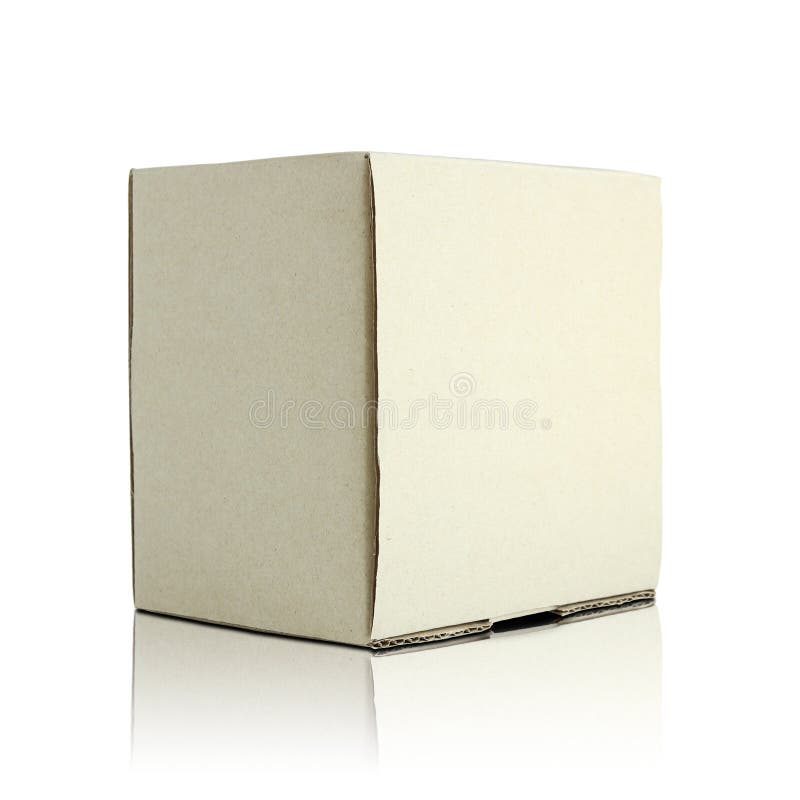 Blank cardboard box