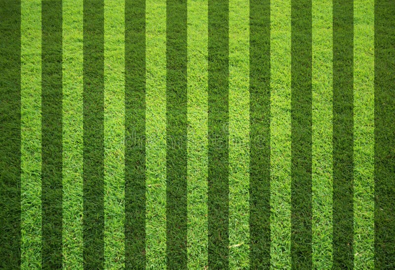 Blank grass field