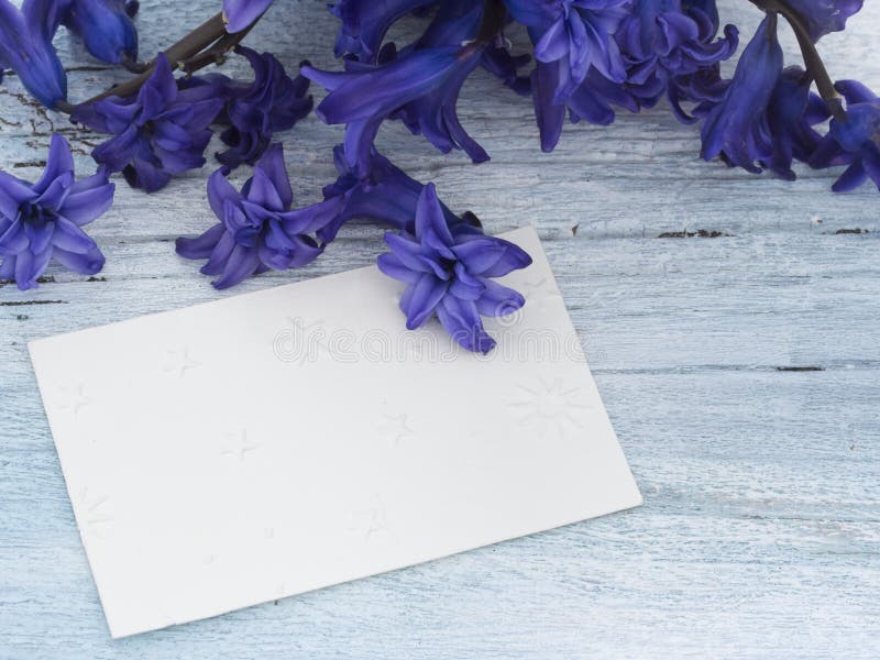 Blank greeting card stock photo. Image of note, botany 52788298