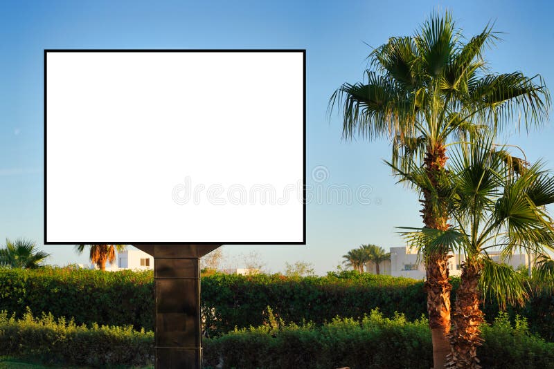 Blank Horizontal Billboard on the Streets . Near Palm Trees and ...