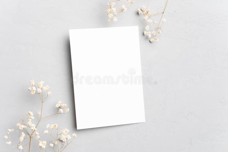 Blank Invitation or Greeting Card Mockup Stock Image Image of wedding, plant 264768637