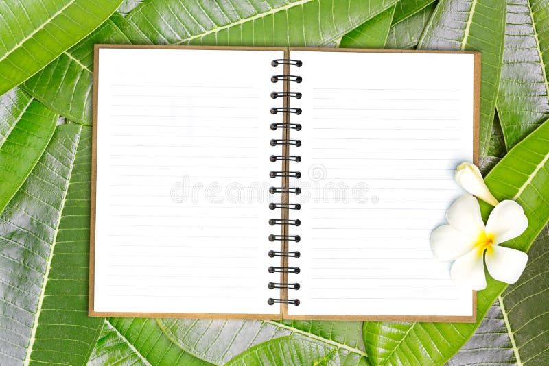 Blank notebook