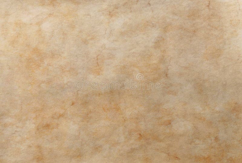 Torn Paper Textured Presentation Background, Paper, Grid, School Background  Image And Wallpaper for Free Download