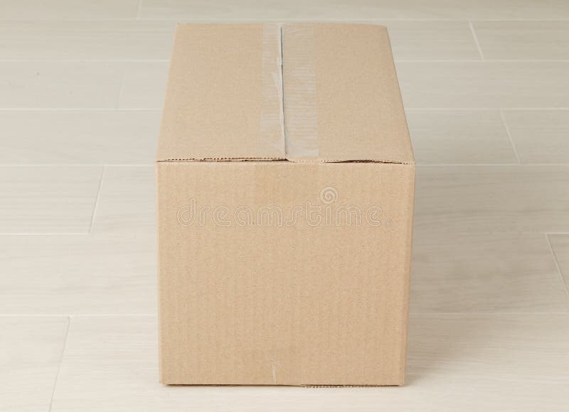 Download Blank Paper Cardboard Box Mockup On The Floor Stock Image ...