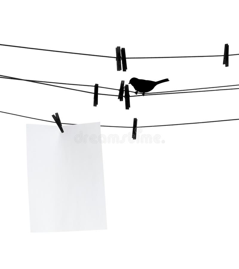 Blank paper sheet on clothesline