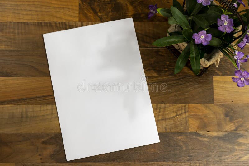 Blank paper sheets for brochure on wooden background with flowers pot, top view. Mock up