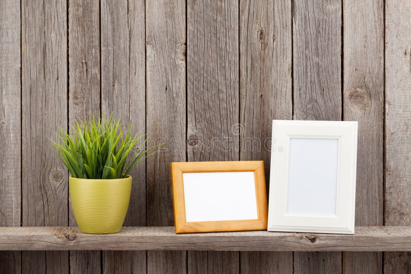 Blank photo frames and plant