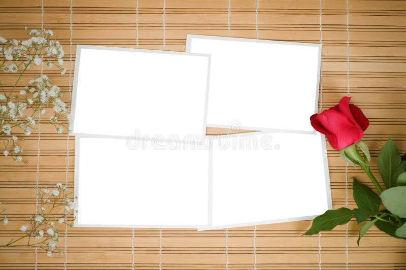 Blank photo prints and rose