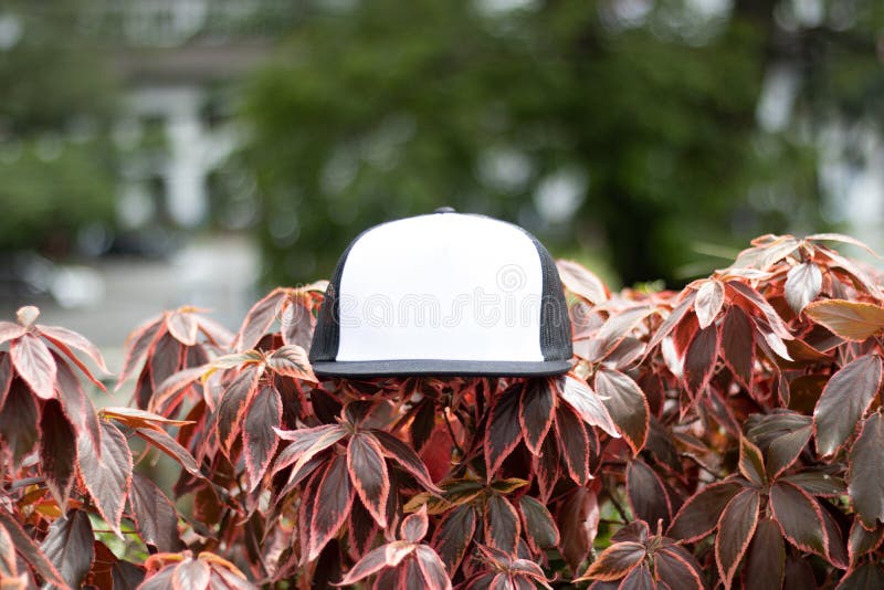 Download Blank Trucker Hat Cap Flat Visor With Black And White ...