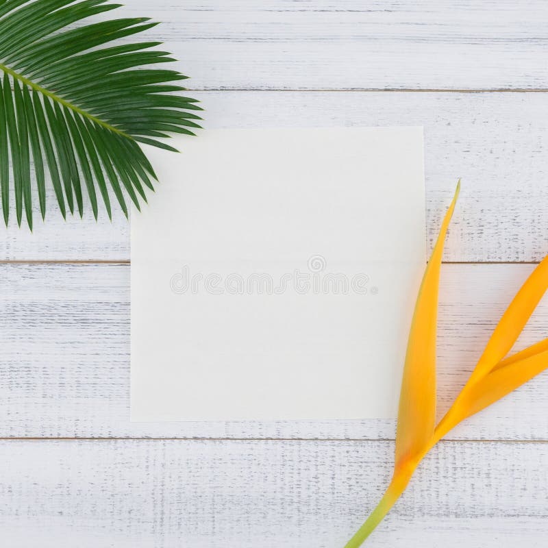 Blank white card with fern leaves and bird of paradise flowers stock photos Blank white card with fern leaves and bird of paradise flowers stock photos