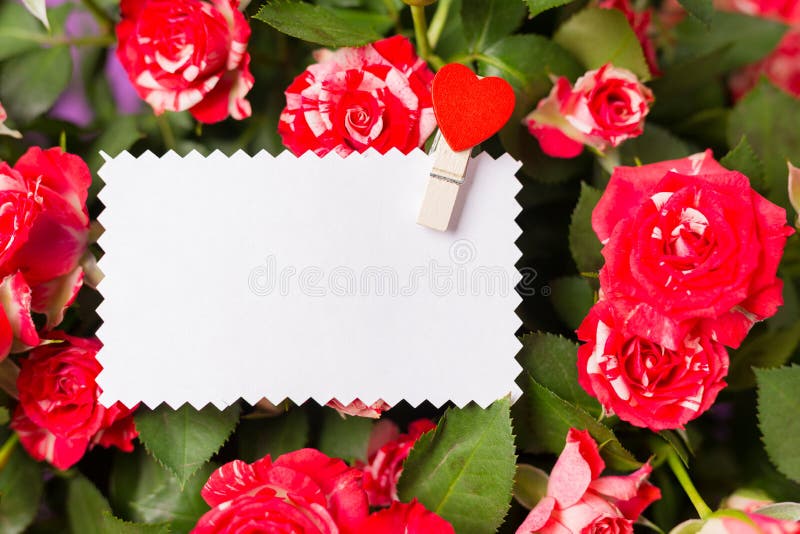 Blank white greeting card on spray red roses bouquet. Space for text. Copy space. Top view. Close-up.