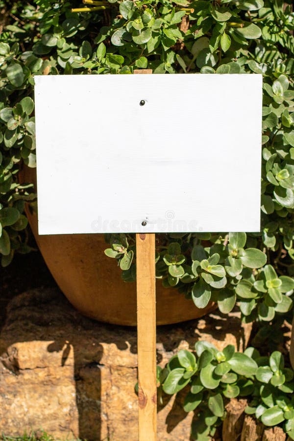 Blank white sign isolated stock image. Image of text 274258051