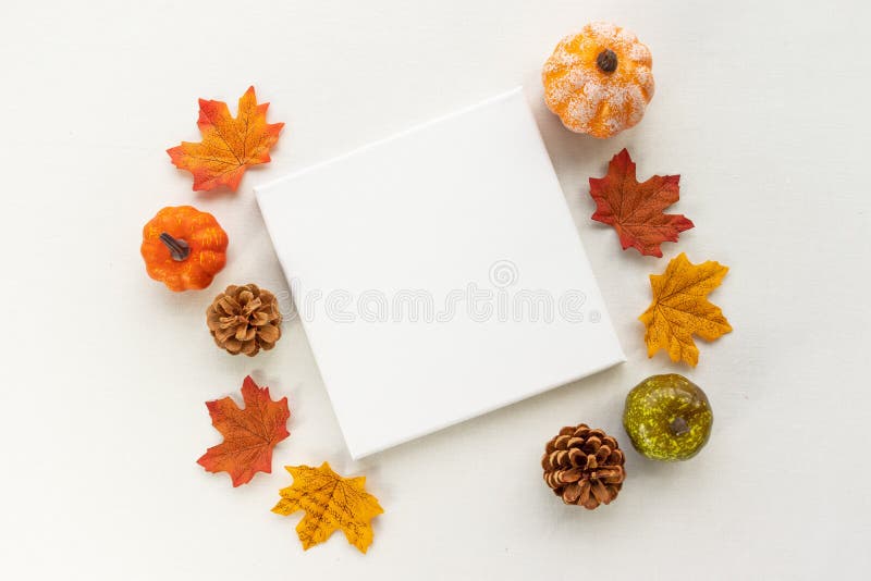 Download 1 243 Stretched Canvas Photos Free Royalty Free Stock Photos From Dreamstime