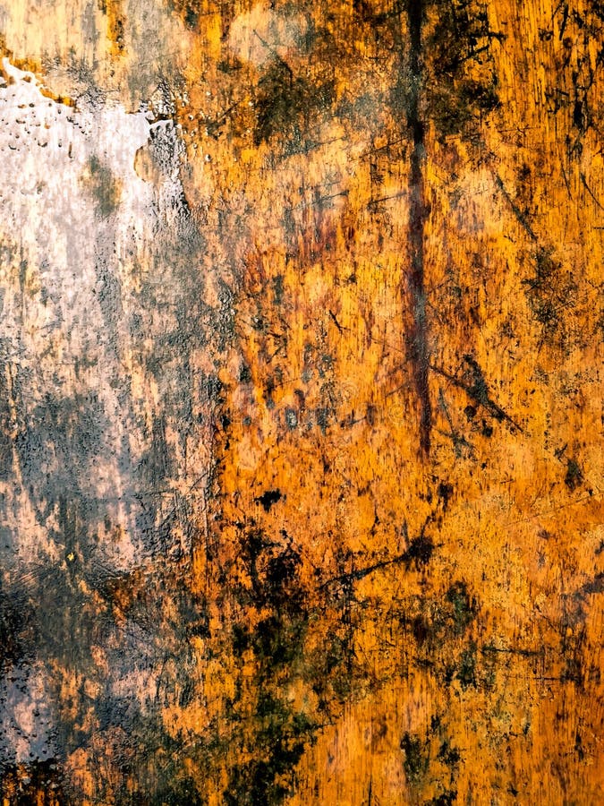 Blank Whiteboard and Green Leaves Placed on White Background. Copy