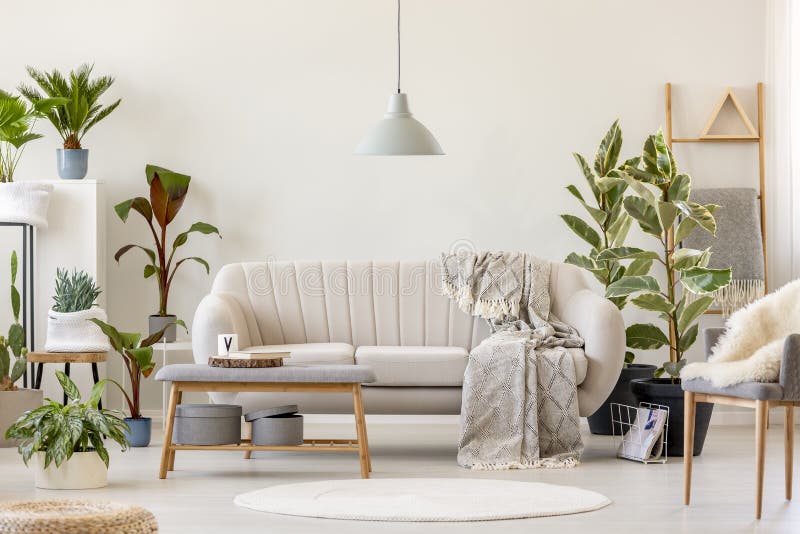 Blanket on beige settee under grey lamp in floral living room interior with plants and chair. Real photo