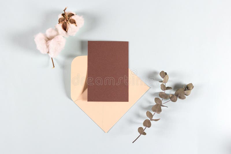 Blankrukor för kraftpapper, inbjudningsbrev, post med eukalyptus blad och bomullsblommor på ljusbakgrund, mockup. royaltyfria bilder