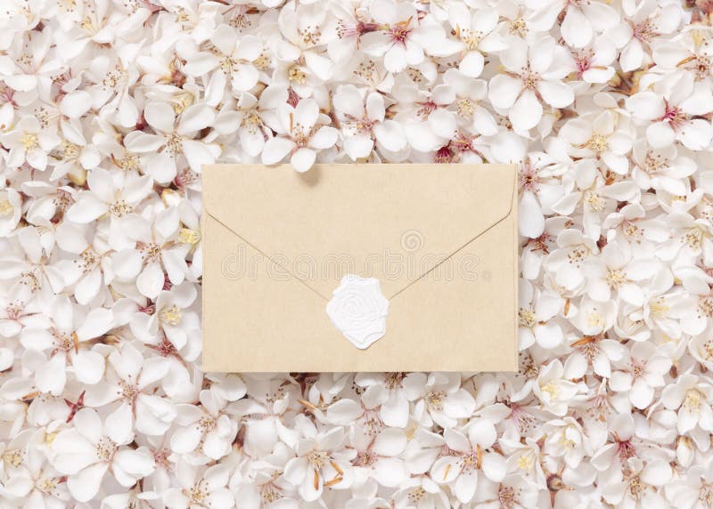 Blankt kraftpapper, förseglat kuvert över vita körsbärsblommor, toppvy vårbröllopsmockup royaltyfri bild