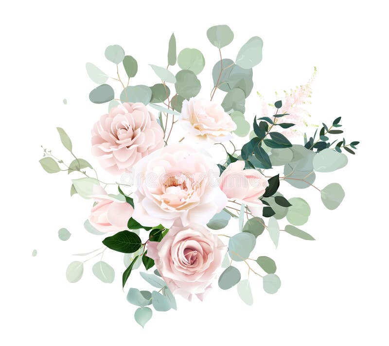 Blass pinkfarbene und staubige Rosenrose-Kamelie magnolia mint eukalyptus grün Vektor Design Blumenstrauß lizenzfreie abbildung