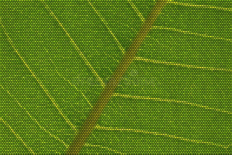 Blatt-Adern punktierte Vektor-Illustration lizenzfreie abbildung Blatt-Adern punktierte Vektor-Illustration lizenzfreie abbildung