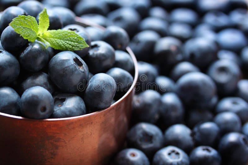 Blaubeeren stockfotografie Blaubeeren stockfotografie
