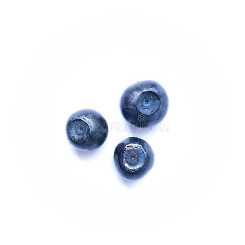 blaubeeren lizenzfreie stockbilder blaubeeren lizenzfreie stockbilder