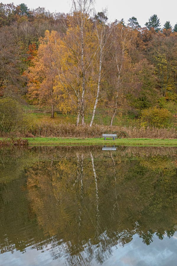 Blaue Bank am Teich stockfoto. Bild von europa, querneigung 165687606
