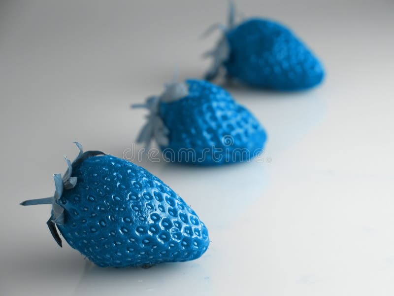 Blaue Erdbeeren lizenzfreie stockbilder Blaue Erdbeeren lizenzfreie stockbilder